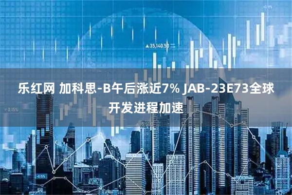 乐红网 加科思-B午后涨近7% JAB-23E73全球开发进程加速