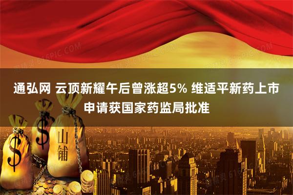 通弘网 云顶新耀午后曾涨超5% 维适平新药上市申请获国家药监局批准