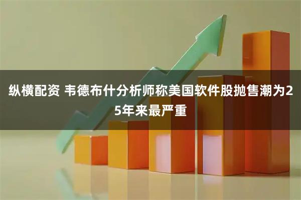 纵横配资 韦德布什分析师称美国软件股抛售潮为25年来最严重
