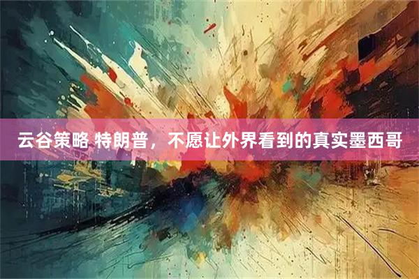 云谷策略 特朗普,不愿让外界看到的真实墨西哥